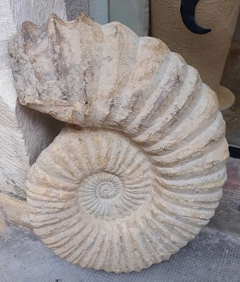 markenlogo steinschnecke ka-immobilien aus Trier und Umgebung